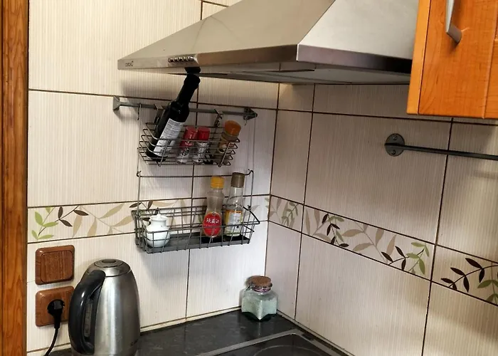 Remy Dumoncel Appartement Parijs